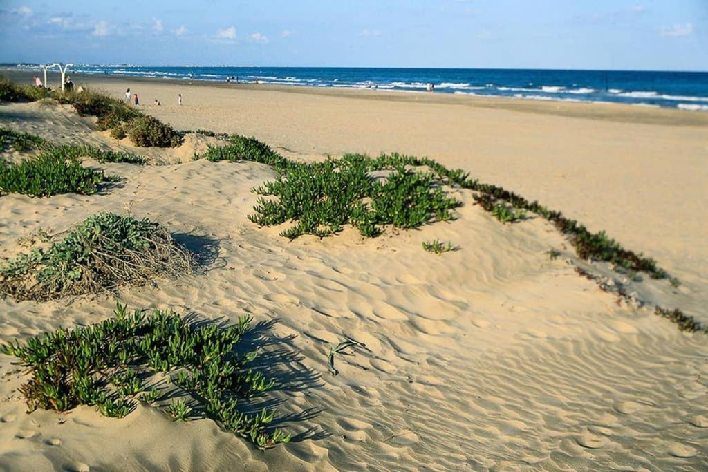 Apartamento En Playa Canet De Berenguer Canet d'En Berenguer Exteriör bild